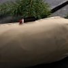 Hamak TigerWood Ważka V1 long z moskitierą pustynny